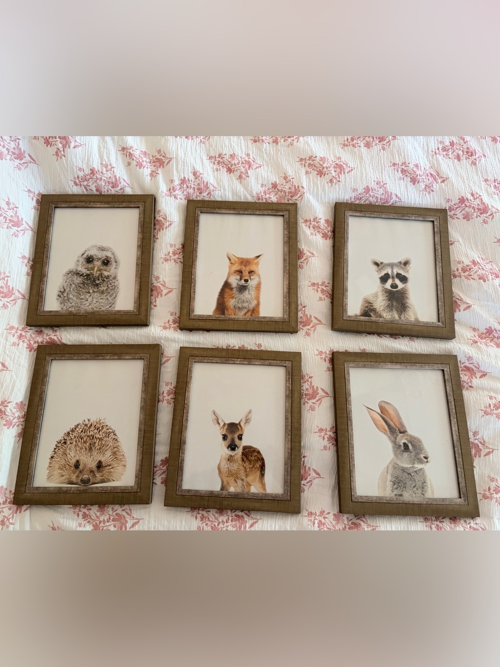 Rustic Forrest Animal Framed Wall Art Set in Brown/Gray, Nursery Decor